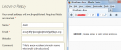 Mailgun Email Validator screenshot 2