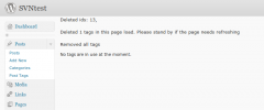Mass Delete Tags screenshot 3