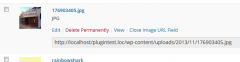 Media Item URL screenshot 1