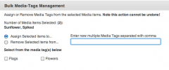 Media Tags screenshot 2