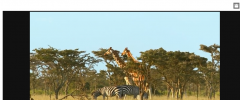MediaView screenshot 2