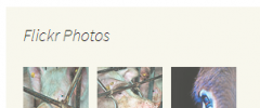 Meks Simple Flickr Widget screenshot 2
