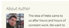 Meks Smart Author Widget screenshot 2