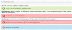 Meta Tags Optimization screenshot 1