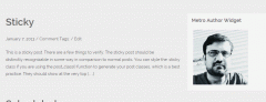 Metro Author Widget screenshot 3
