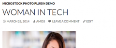 Microstock Photo Plugin screenshot 4