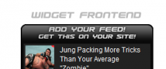 MMA News Widget screenshot 1