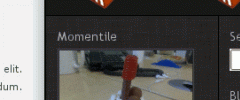 Momentile on WordPress screenshot 1