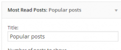 Most And Least Read Posts Widget screenshot 3
