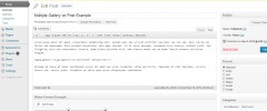 Multiple Gallery on Post screenshot 2