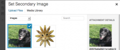 Multiple Post Thumbnails screenshot 2