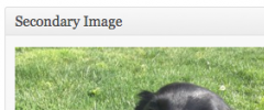 Multiple Post Thumbnails screenshot 3