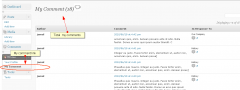 my-comment screenshot 1