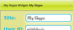 My Skype screenshot 3