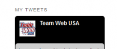 My Twitter Widget screenshot 2