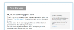 Effective email signup form. +300% Email Subscribers and Automated Newsletter screenshot 5