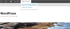 Nginx Cache Controller screenshot 2