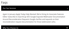 Nice Responsive WP_FAQ screenshot 3