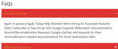 Nice Responsive WP_FAQ screenshot 4