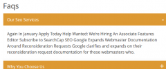 Nice Responsive WP_FAQ screenshot 5
