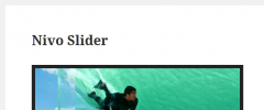 Nivo Image Slider screenshot 3