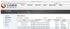 OggChat Live Chat screenshot 4