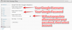 Seoatl On Site Google Analytics screenshot 3