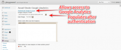 Seoatl On Site Google Analytics screenshot 3