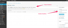 Optimizely screenshot 1