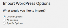 WP Options Importer screenshot 3