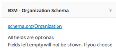 Organization Schema Widget screenshot 1