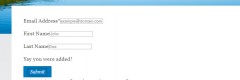 OSD MailChimp Forms screenshot 4