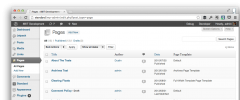 Page Template Dashboard screenshot 1