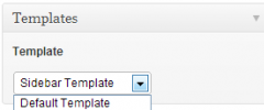 Page Templates for Posts screenshot 1