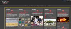 Passle Embedded Posts Plugin screenshot 1