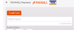 PAYMILL for WordPress screenshot 2