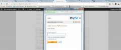 Paypal Digital Goods Payment Gateway For Woocommerce screenshot 4