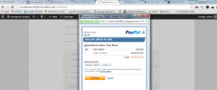 Paypal Digital Goods Payment Gateway For Woocommerce screenshot 5
