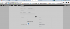 Paypal Digital Goods Payment Gateway For Woocommerce screenshot 6