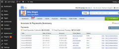 Online Payments with PayPal and Stripe - By vCita screenshot 3