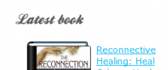 PBL Bookshelf screenshot 2