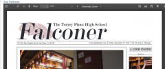 PDF.js Viewer Shortcode screenshot 1
