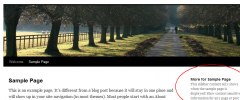 PG Context Sidebar screenshot 2