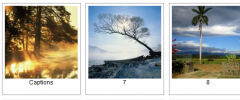 Photo Gallery Pearlbells screenshot 1