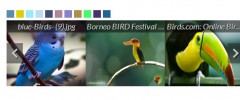 Smart Image Gallery screenshot 3