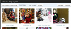 Picasa and Google Plus Express screenshot 2