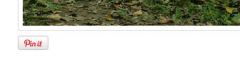 Pinterest Image Pin screenshot 4