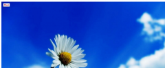 Pinterest Master screenshot 6