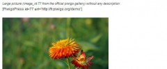 PiwigoPress screenshot 5