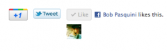 plus twit like screenshot 1